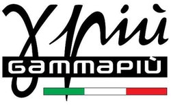  logo assistenza gammapi